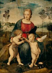 Raffaello Santi: Madonna del Cardellino